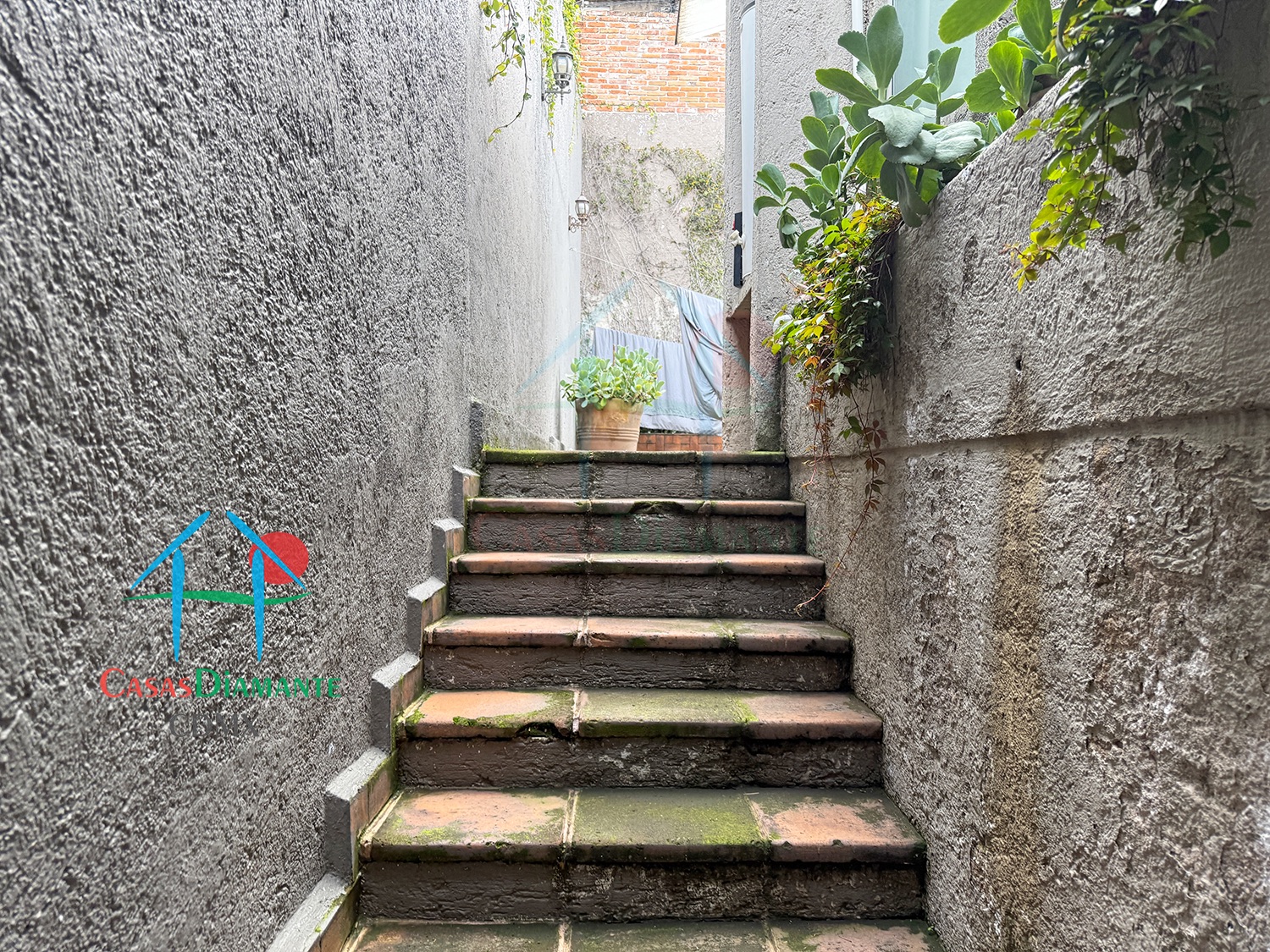 Herradura Casa Zen BD - Patio 1 Herradura Casa Zen BD - Patio 1